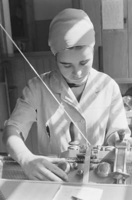 Maria Aparecida, Cidinha