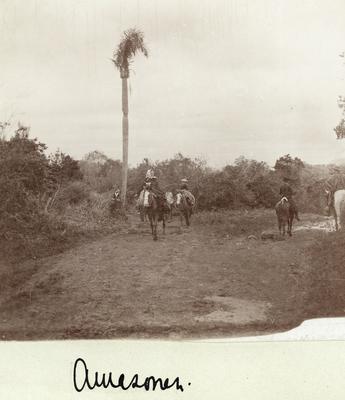 Amazonas (mulheres à cavalo)