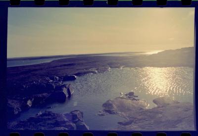 Viagem com a bióloga Livia Monami para registrar a caça da baleia branca