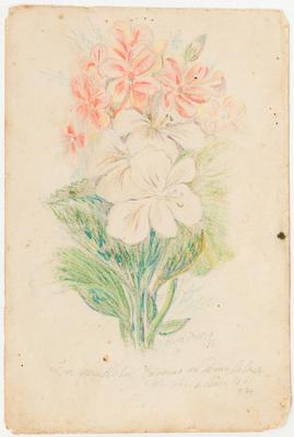 [Buquê com flores brancas e vermelhas]