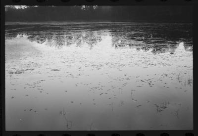 Em busca de fazendas para locacações do filme Os Herdeiros, de Cacá Diegues