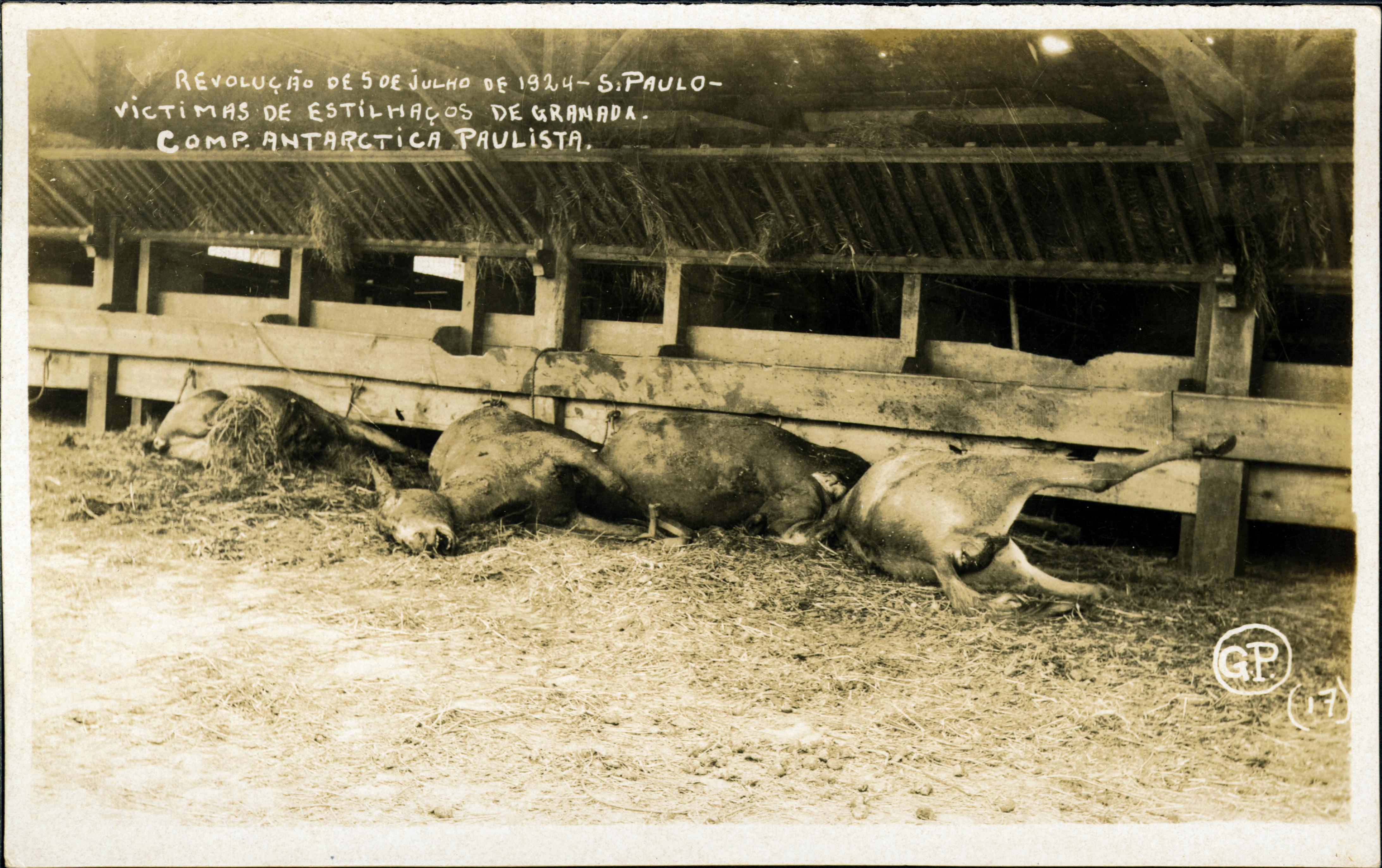 Efeitos da Revolução de 1924 - Vítimas de estilhaços de granada