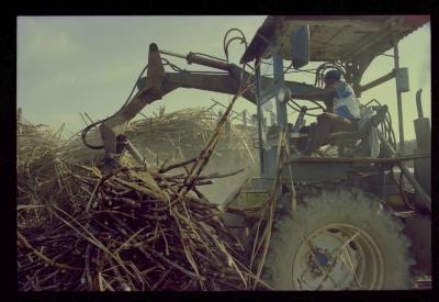 Produção de filme institucional sobre usinas de açúcar