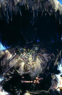 Série Bumba-meu-boi - Festa de São João