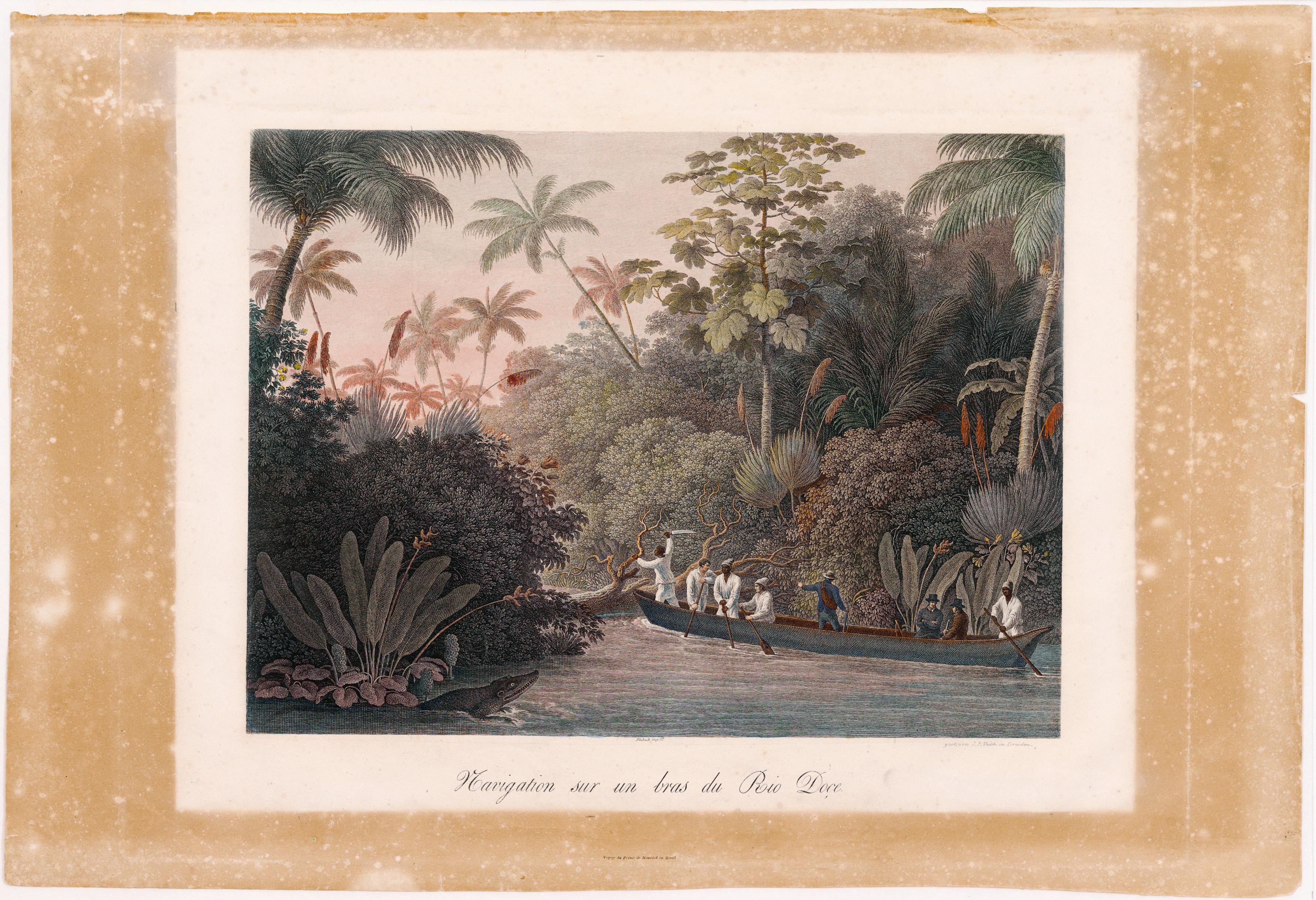 (Navegação por um braço do Rio Doce)