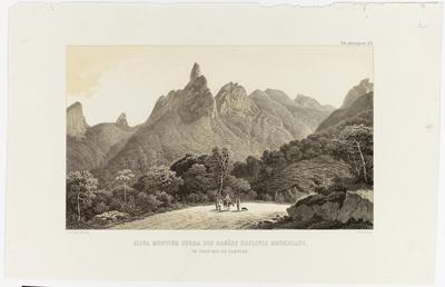 (Floresta que sombreia as encostas das montanhas da Serra dos Órgãos, na Província do Rio de Janeiro)