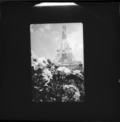 Campanha publicitária - Reversão