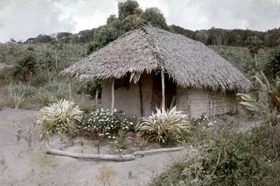 Casa com telhado de palha