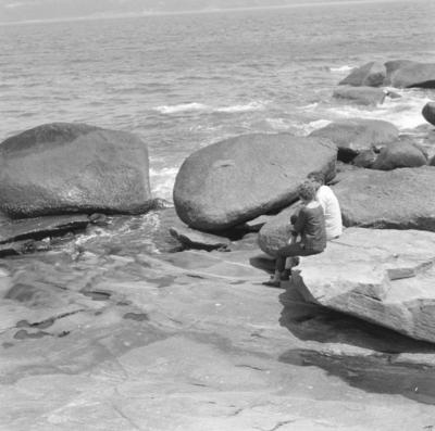 Ilha de São Sebastião