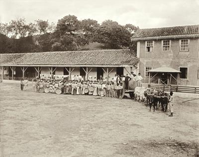 Partida para colheita de café