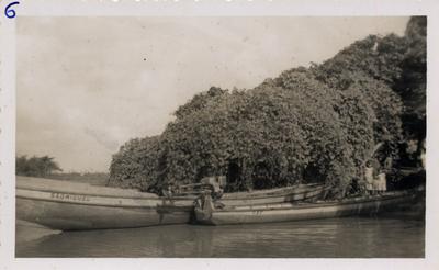 Fotografia; autor: Não identificado