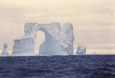 Aventuras de Igor na Antártida