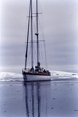 Aventuras de Igor na Antártida