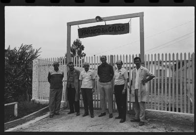 Sítio "Paraíso dos Galos"