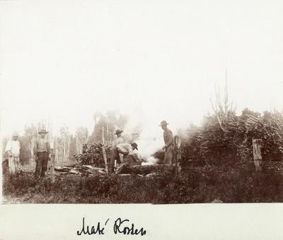 Torrefação de mate