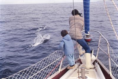 Igor Belli e Jorge Bodanzky