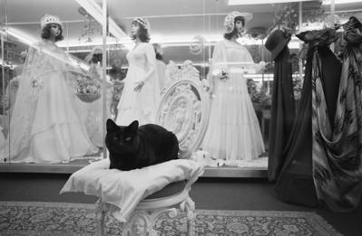 Rua São Caetano, a rua das noivas