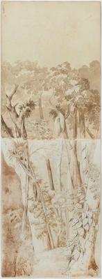 [Estudo para floresta]