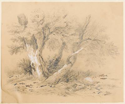 [Paisagem européia com árvore]