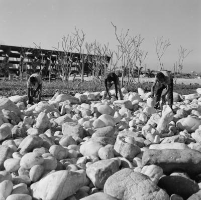 Museu de Arte Moderna - MAM