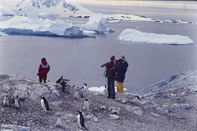 Jorge Bodanzky e Serge Guitton filmam Igor Belli