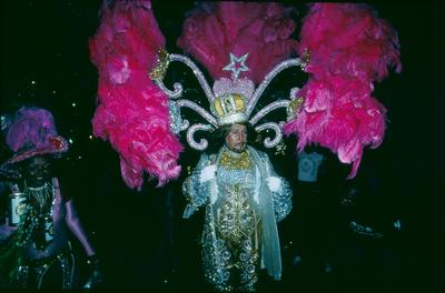 Série Carnaval - Integrantes de escolas de samba