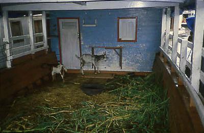 Série Amazonas - Interior de embarcação