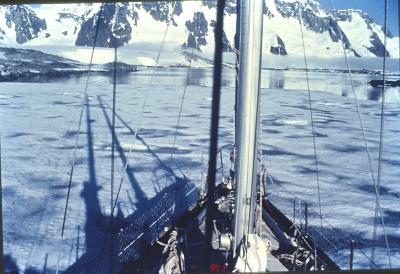 Aventuras de Igor na Antártida