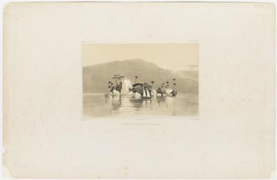 Ile de Ponte-Velha; (rade de Rio-Janeiro.)