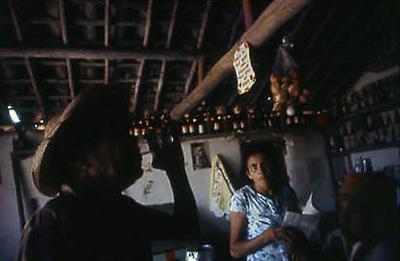 Série Caranguejeiras