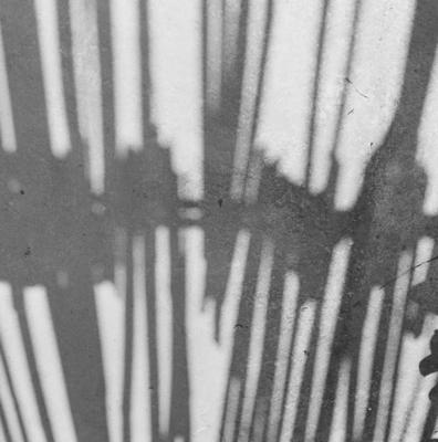 Sítio Burle Marx - sombra