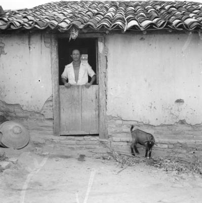 Severino de Tracunhaém