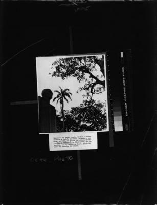 Monumento a Catullo da Paixão Cearense (contato ampliado)