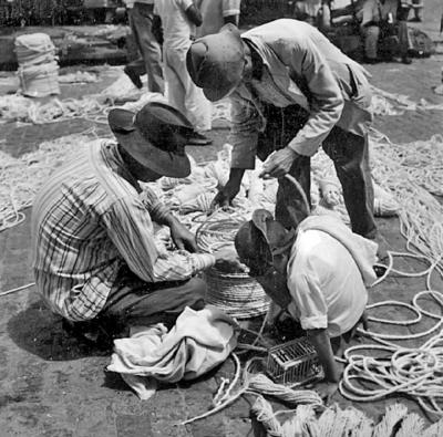 Feira de Caruaru, vendedores