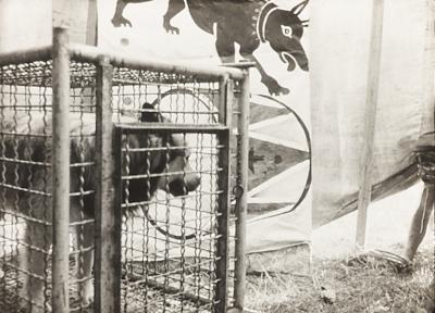 Fotograma do filme "O Profeta da Fome", de Maurice Capovilla