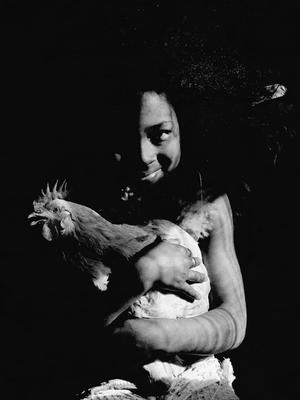 Série Jorge Amado - Gabriela, menina com galo