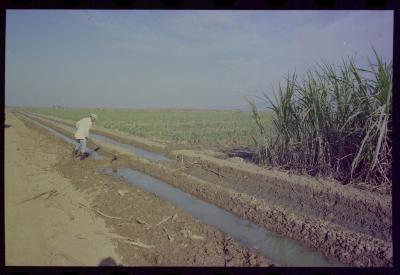 Produção de filme institucional sobre usinas de açúcar