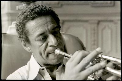 Formiga com o trompete