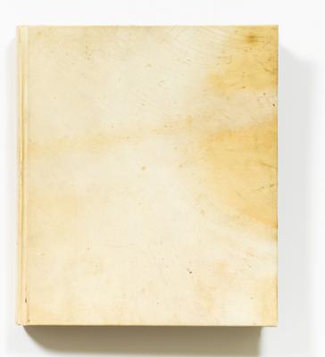 Manuscript of a voyage to South-America.
1838/41