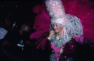 Série Carnaval - Integrantes de escolas de samba
