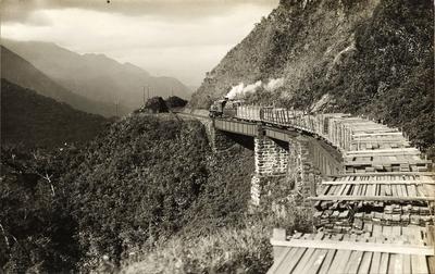 Trem transportando madeira na descida da serra - km 61,731