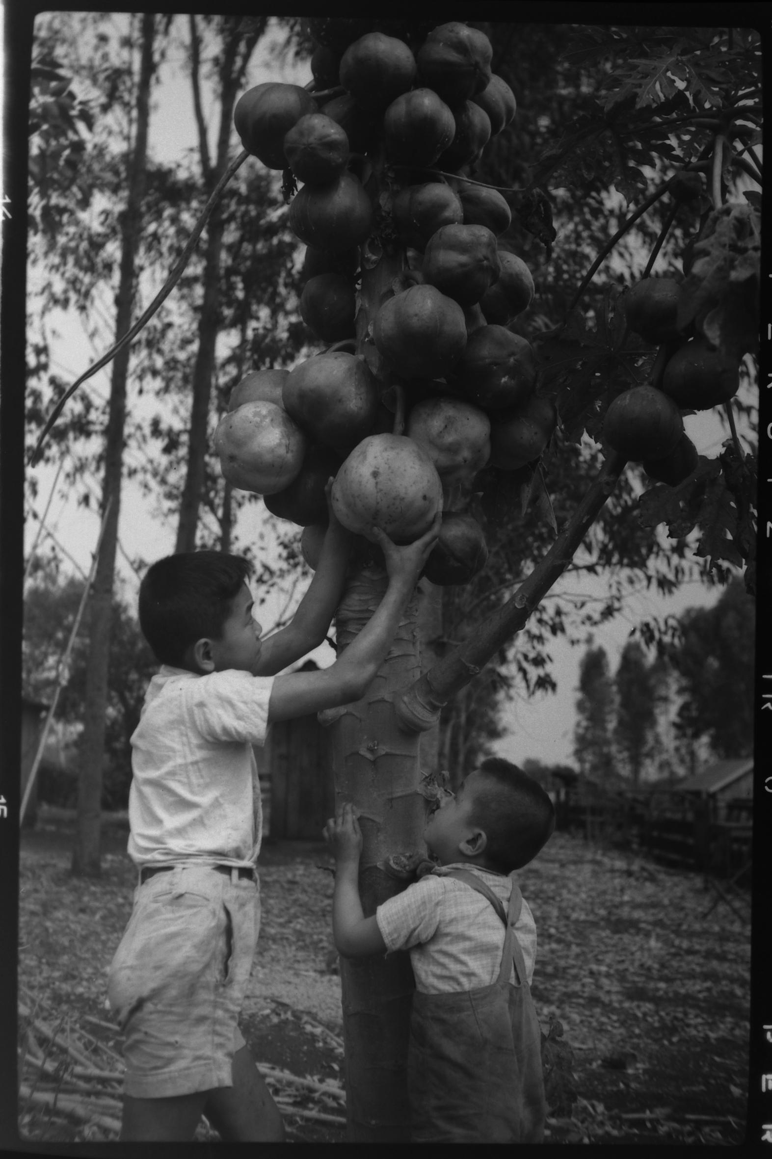 Issamu, sobrinho de Haruo, e Pedro, filho