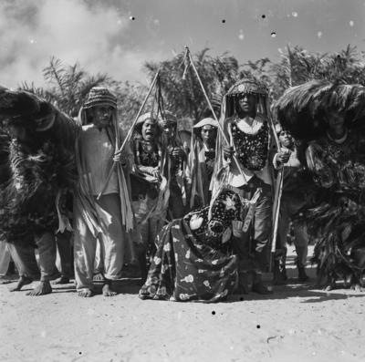 Bumba meu boi, festa popular