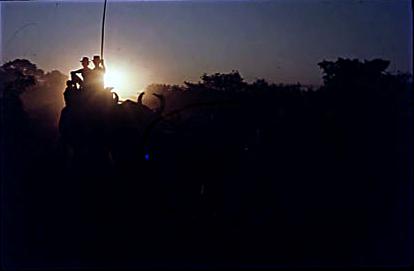 Série Guimarães Rosa