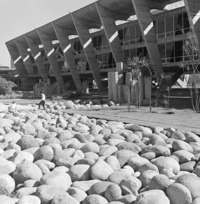 Museu de Arte Moderna - MAM