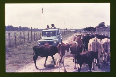 Filmagens de "Iracema: uma transa amazônica", com direção de Jorge Bodanzky e Orlando Senna