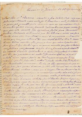 [Carta de Anders Fredrik Regnell a João Barbosa Rodrigues, escrita em Caldas em 10 de fevereiro de 1877]