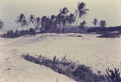 Dunas. Praia próxima ao Quilombo de Sibaúma