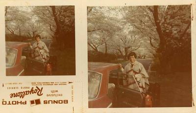 Elizeth Cardoso e as cerejeiras