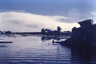 Aventuras de Igor na Antártida